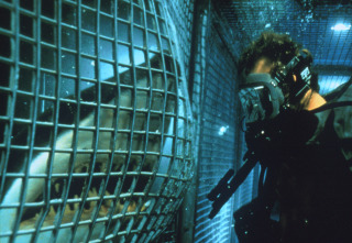 Imagen de Deep Blue Sea - 14