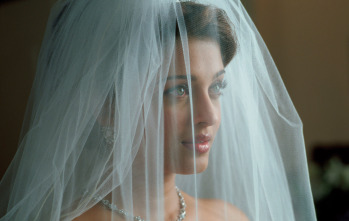 Imagen de Bodas y prejuicios - 14