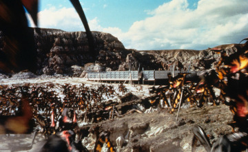 Imagen de Starship Troopers (Las brigadas del espacio) - 8