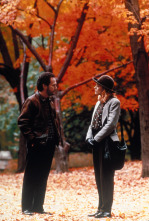 Imagen de Cuando Harry encontró a Sally - 11