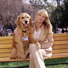 Imagen de Sue Thomas: el ojo del FBI (T1) - 1