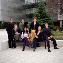 Imagen de Sue Thomas: el ojo del FBI (T1) - 9