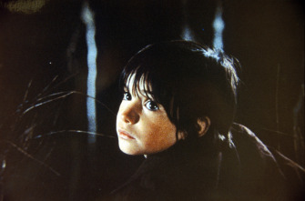 Imagen de El espíritu de la colmena - 4