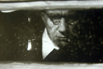 Imagen de El espíritu de la colmena - 7