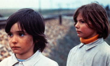 Imagen de El espíritu de la colmena - 10