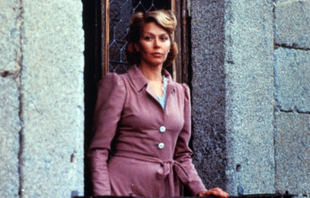 Imagen de El espíritu de la colmena - 11