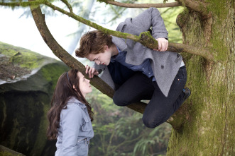 Imagen de Crepúsculo - 4
