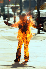 Imagen de Fringe (Al límite) (T1): Ep.19 El camino alternativo - 6