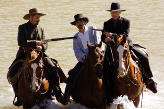 Appaloosa