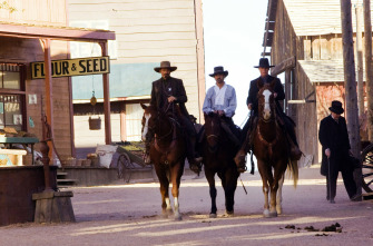 Appaloosa