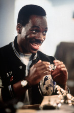 Imagen de Superdetective en Hollywood II - 11