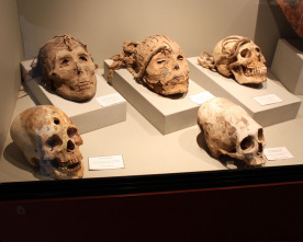 Imagen de El secreto de las líneas de Nazca - 5