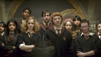 Imagen de Harry Potter y el misterio del príncipe - 14