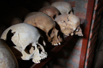 Imagen de Asesinos de gorilas - 8