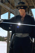 Imagen de La máscara del Zorro - 7