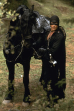 Imagen de La máscara del Zorro - 5