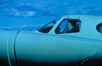 Imagen de Los amantes del Círculo Polar - 8
