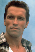 Imagen de Comando - 15