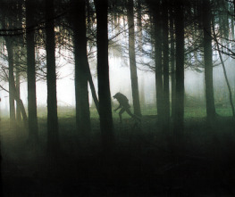 Imagen de Dog Soldiers - 12