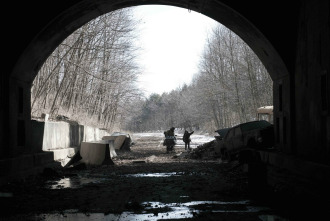 Imagen de The Road (La carretera) - 12