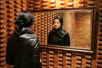 Sympathy for Lady Vengeance