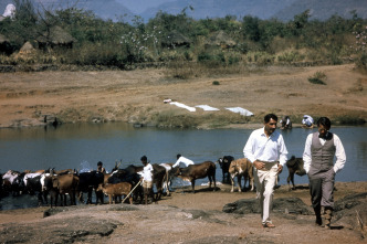 Imagen de Gandhi - 4