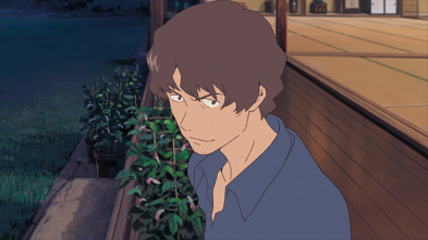 Imagen de Summer Wars - 14