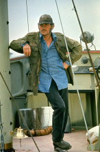 Imagen de Tiburón - 9