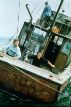 Imagen de Tiburón - 14