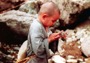 Imagen de Primavera, verano, otoño, invierno... y primavera - 6