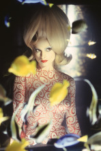 Imagen de Mars Attacks! - 4