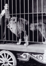 Imagen de El circo - 8
