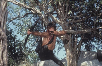 Imagen de Acorralado - 9