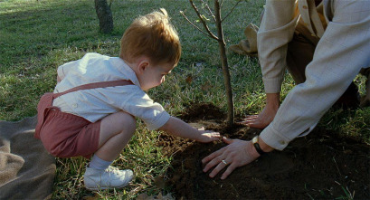 El árbol de la vida