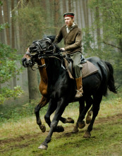 Imagen de War Horse (Caballo de batalla) - 15