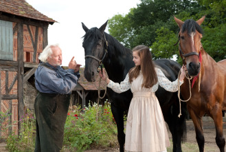 Imagen de War Horse (Caballo de batalla) - 5