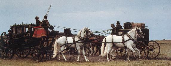 Imagen de Remando al viento - 8