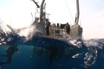 Imagen de El ataque secreto de Hitler a los Estados Unidos - 1