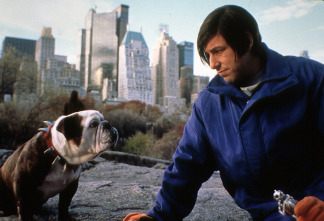 Imagen de Little Nicky - 11