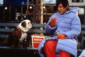 Imagen de Little Nicky - 13