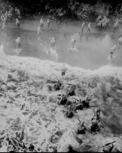 Imagen de Dentro de la Segunda Guerra Mundial  - 3