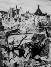 Imagen de Dentro de la Segunda Guerra Mundial  - 7