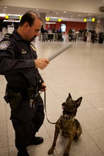 Imagen de JFK: Control de aduanas  - 2