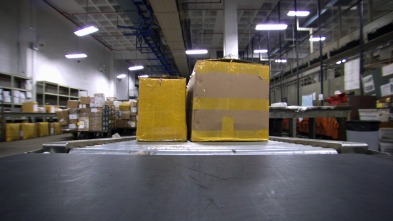 Imagen de JFK: Control de aduanas  - 12