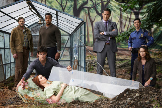 Imagen de Grimm (T2) - 4