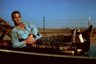 Imagen de La leyenda del indomable - 3