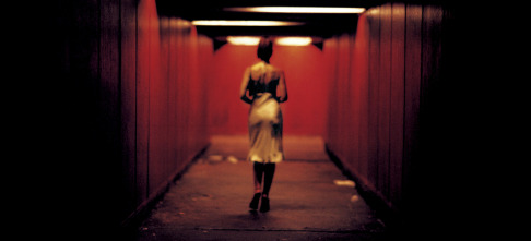 Imagen de Irreversible - 8