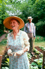 Imagen de Paseando a Miss Daisy - 11
