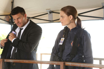 Imagen de Bones (T9): Ep.1 Los secretos en la proposición - 9