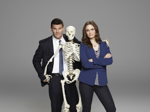 Imagen de Bones (T9) - 7